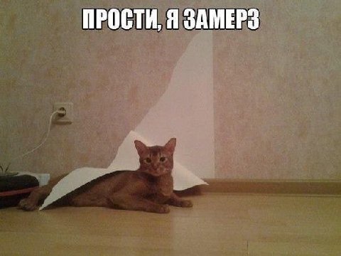 ПРОСТИ, Я ЗАМЕРЗ