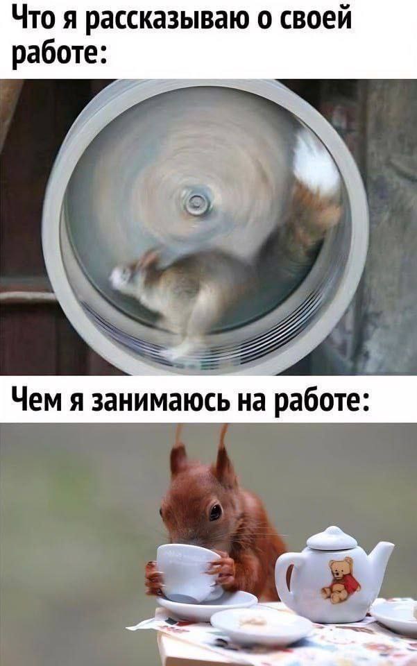 Что я рассказываю о своей работе: Чем я занимаюсь на работе: