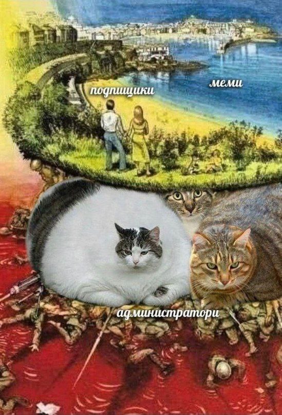 меми Я Я у 5 администратори