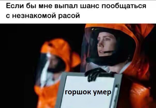 Если бы мне выпал шанс пообщаться с незнакомой расой 7 горшок умер