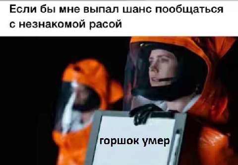 Если бы мне выпал шанс пообщаться с незнакомой расой 7 горшок умер