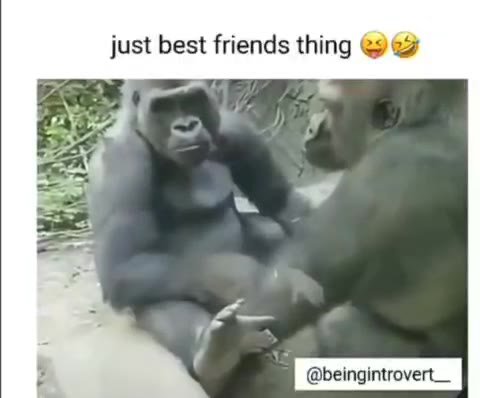 just best friends thing @@
