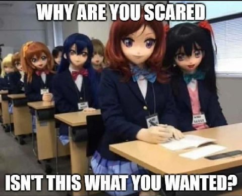 WHY ARE YOU и ISN'T THIS WHAT YOU WANTED?