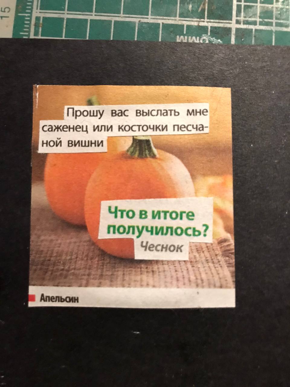 Прошу вас выслать мне саженец или косточки песча- ной вишни Что в итоге получилось? a Апельсин