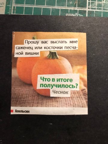 Прошу вас выслать мне саженец или косточки песча- ной вишни Что в итоге получилось? a Апельсин