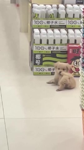 мем
