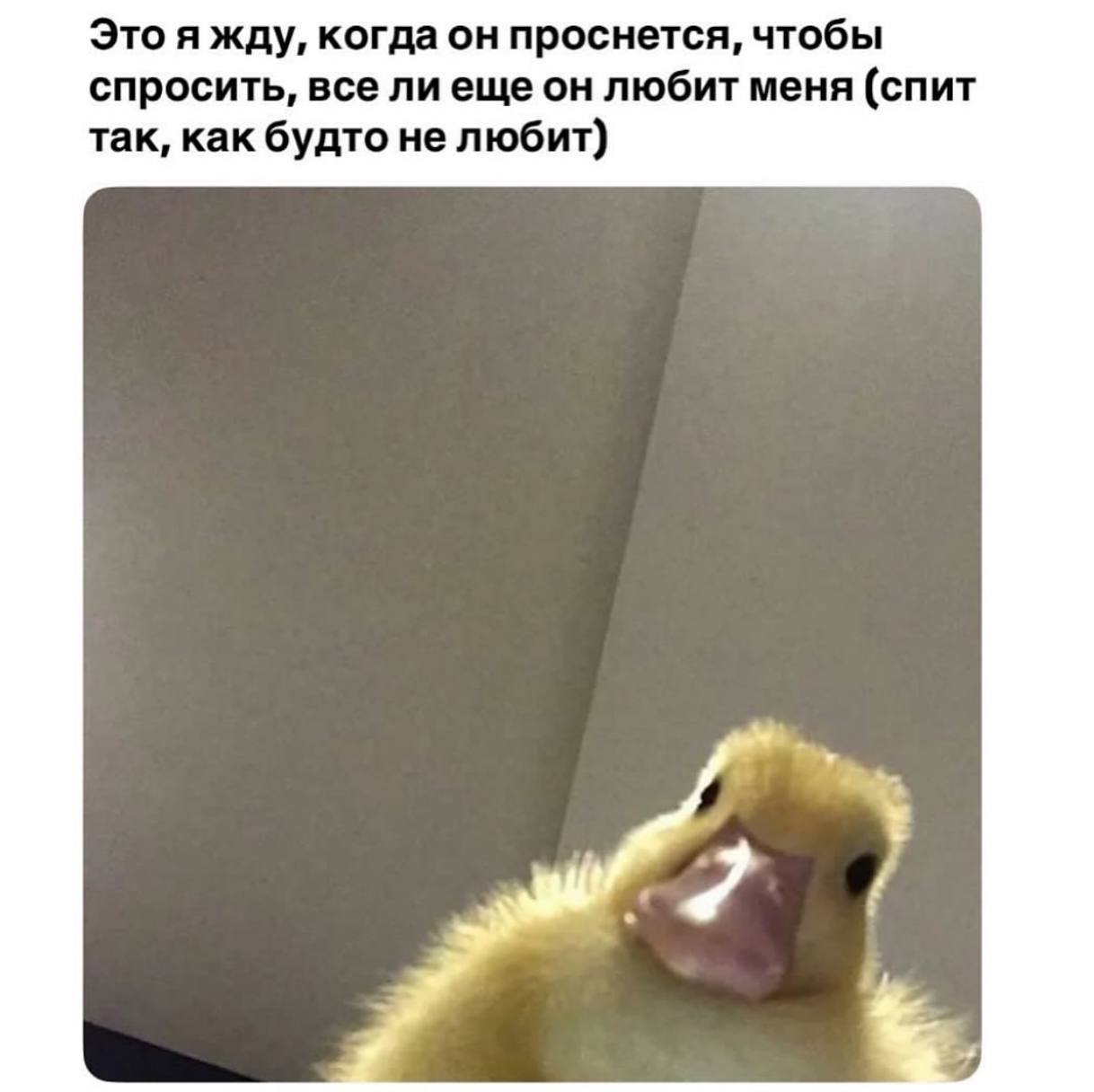 Это я жду, когда он проснется, чтобы спросить, все лиеще он любит меня (спит так, как будто не любит) My, 2)