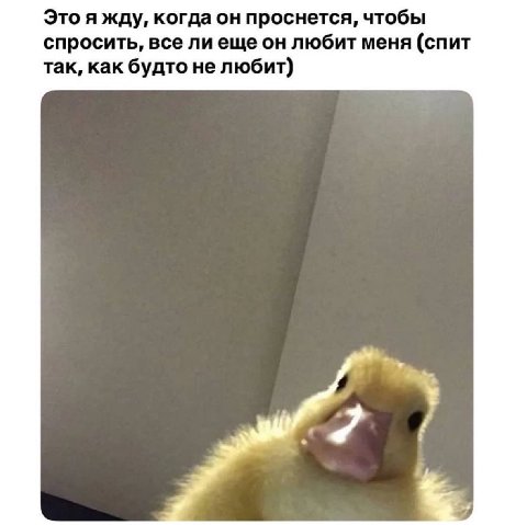 Это я жду, когда он проснется, чтобы спросить, все лиеще он любит меня (спит так, как будто не любит) My, 2)