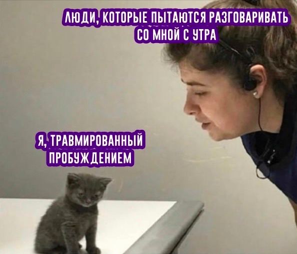 АЮДИ, КОТОРЫЕ ПЫТАЮТСЯ РАЗГОВАРИВАТЬ МНОЙ С УТРА Я, ТРАВМИРОВАННЫЙ ПРОБУЖ ДЕНИЕМ У 4