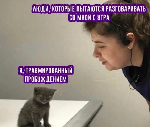 АЮДИ, КОТОРЫЕ ПЫТАЮТСЯ РАЗГОВАРИВАТЬ МНОЙ С УТРА Я, ТРАВМИРОВАННЫЙ ПРОБУЖ ДЕНИЕМ У 4