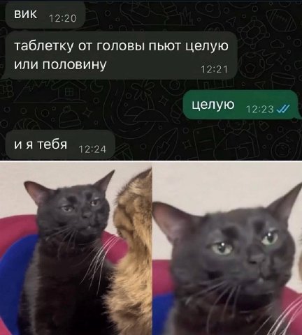 ВИК 12:20 таблетку от головы пьют целую или половину 12:21 Целую и иятебя