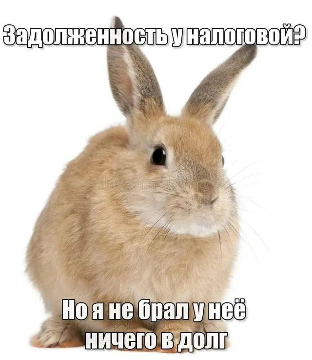 A) 7 Нояне НИЧЕГО