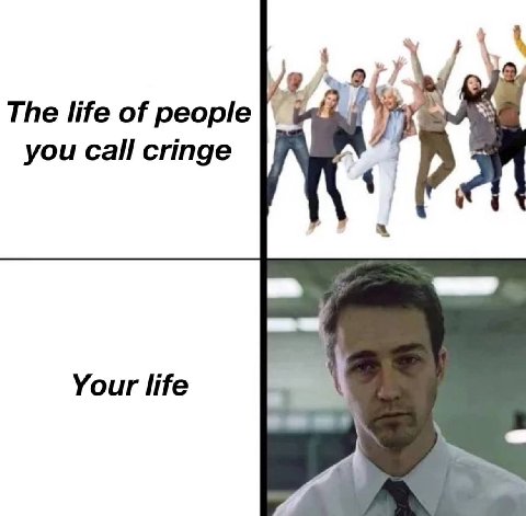 The life of people you Call cringe Your life