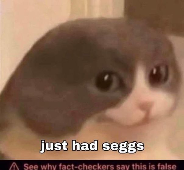 just had seggs