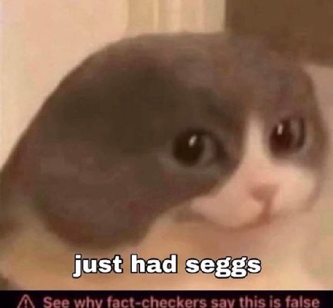 just had seggs