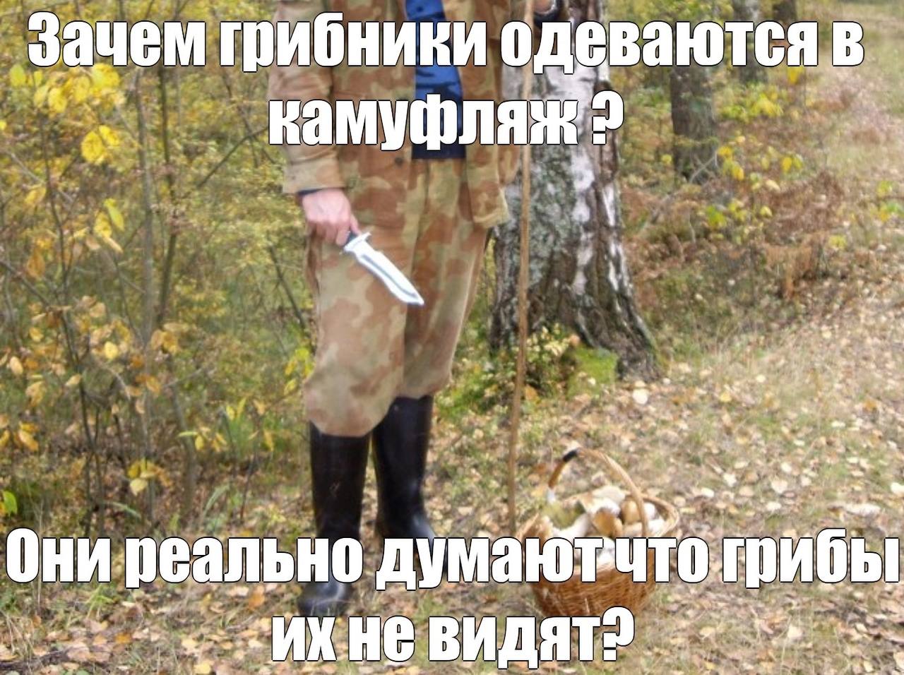 Зачем грибники одеваются 4 2 4 Они. реально думаю И 6 wet ale ИХ.Н@ ВИДЯТ?