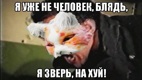 Я УЖЕ HE ЧЕЛОВЕК, БЛЯДЬ, Я ЗВЕРЬ, НА ХУЙ!