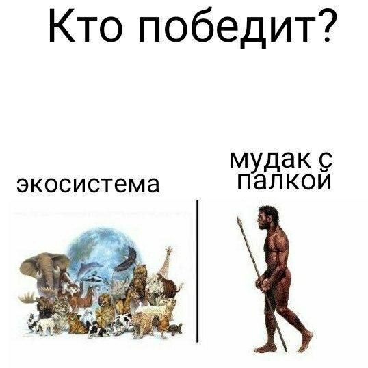 Кто победит? мудак с экосистема палкои