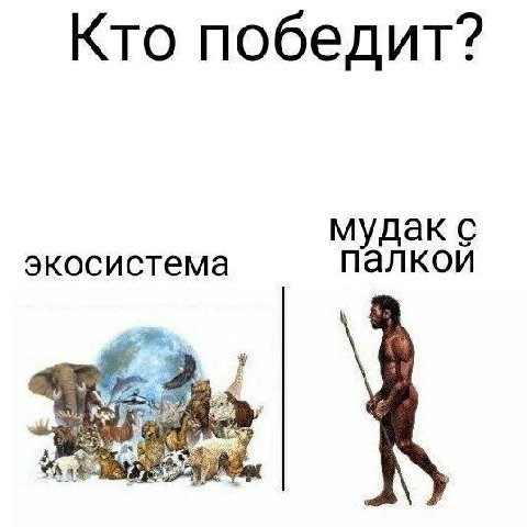 Кто победит? мудак с экосистема палкои