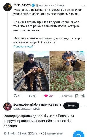 SVTV NEWS @svtv_news 27 мая Участковый из Коми три километра нес на руках умирающего лосёнка и смог спасти ему жизнь На днях Евгений Крылов получил сообщение о том, что в его районе заметили лосят, ко