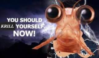 YOU SHOU KRILL YOURSE NOW!