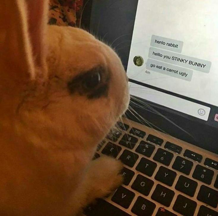 You STINKy