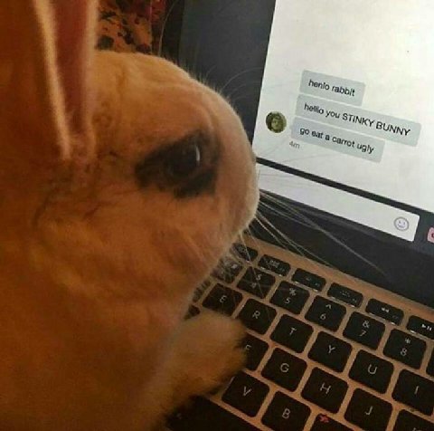 You STINKy