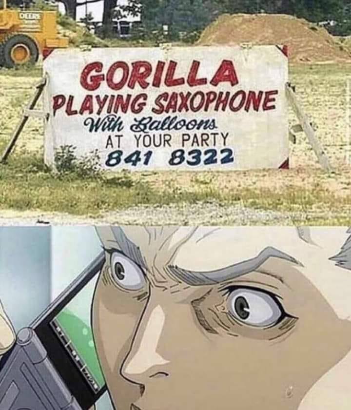 GORILLA 2 “<7 PLAYING &alloors. we AT YOUR PARTY 8322 a 27 Waal:
