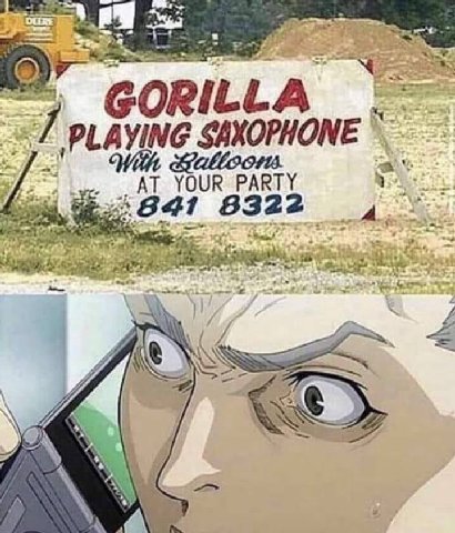 GORILLA 2 “<7 PLAYING &alloors. we AT YOUR PARTY 8322 a 27 Waal: