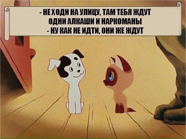 НЕХОДИ НА УЛИЦУ, ТАМ тебя ОДНИАЛНАШИ И НАРКОМАНЫ i HE ОНИ ЖЕ ЖДУТ I