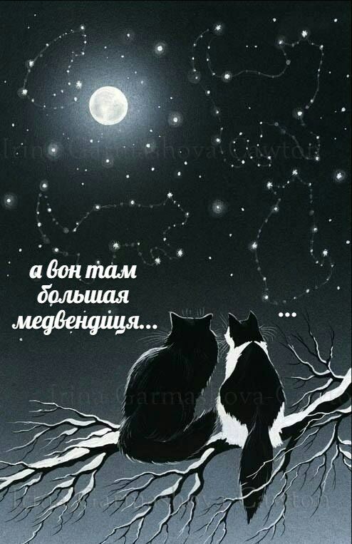 а бон там большая VAS