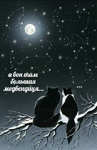 а бон там большая VAS