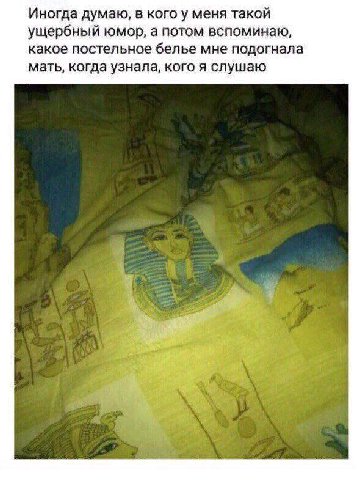 Иногда думаю, в кого у меня такой ущербный юмор, а потом вспоминаю, какое постельное белье мне подогнала мать, когда узнала, кого я слушаю