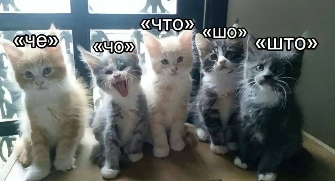 «ЧТО» «LUO» «ШТО»