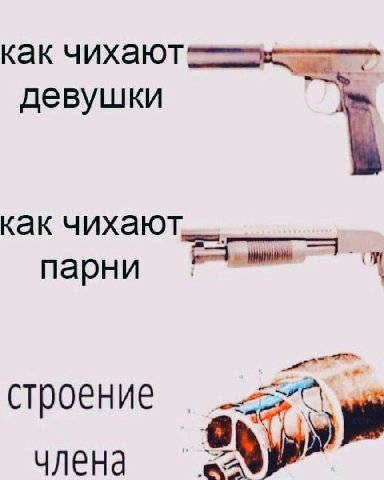 как чихают девушки как парни строение члена