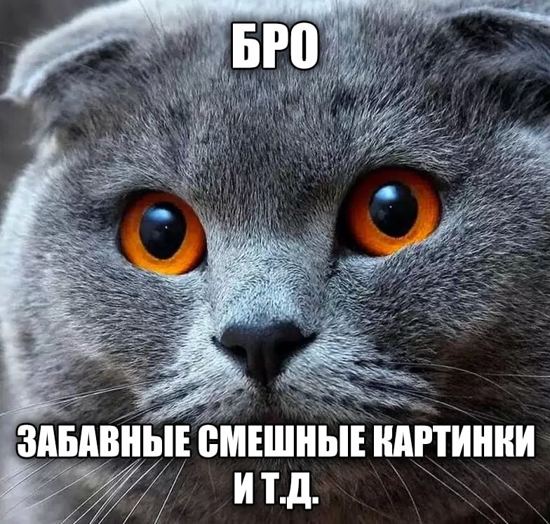 a ЗАБАВНЫЕ СМЕШНЫЕ КАРТИНКИ ИТ.Д.