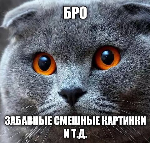 a ЗАБАВНЫЕ СМЕШНЫЕ КАРТИНКИ ИТ.Д.