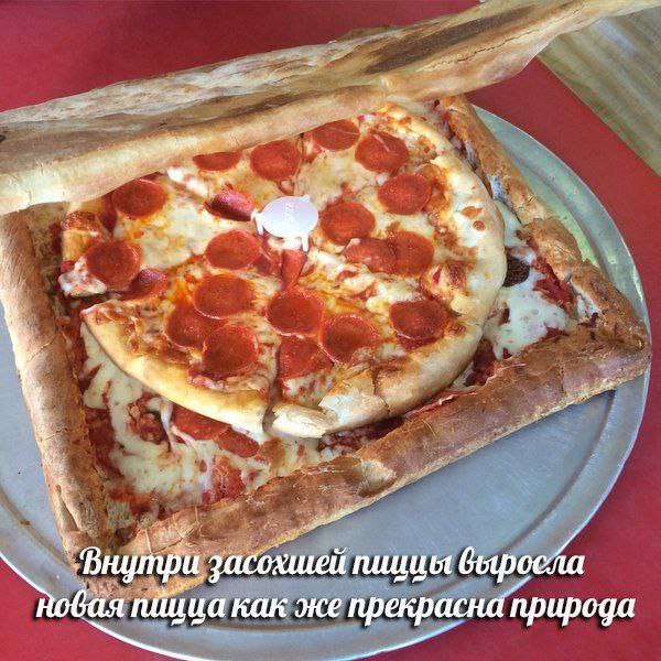 ‘Baym засохшей Новая как же прекрасна природа
