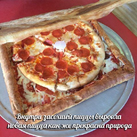 ‘Baym засохшей Новая как же прекрасна природа