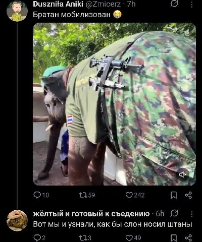 Dusznita Aniki Братан мобилизован и a у i С Any я жёлтый и готовый к съедению Вот мы и узнали, как бы слон носил штаны