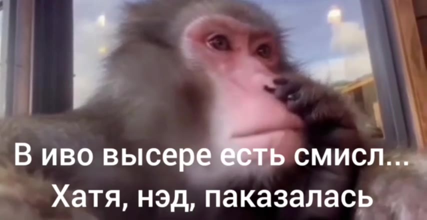 В иво высе b СМИСЛ... Хатя, нэд, паказалась _