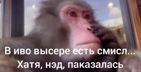 В иво высе b СМИСЛ... Хатя, нэд, паказалась _