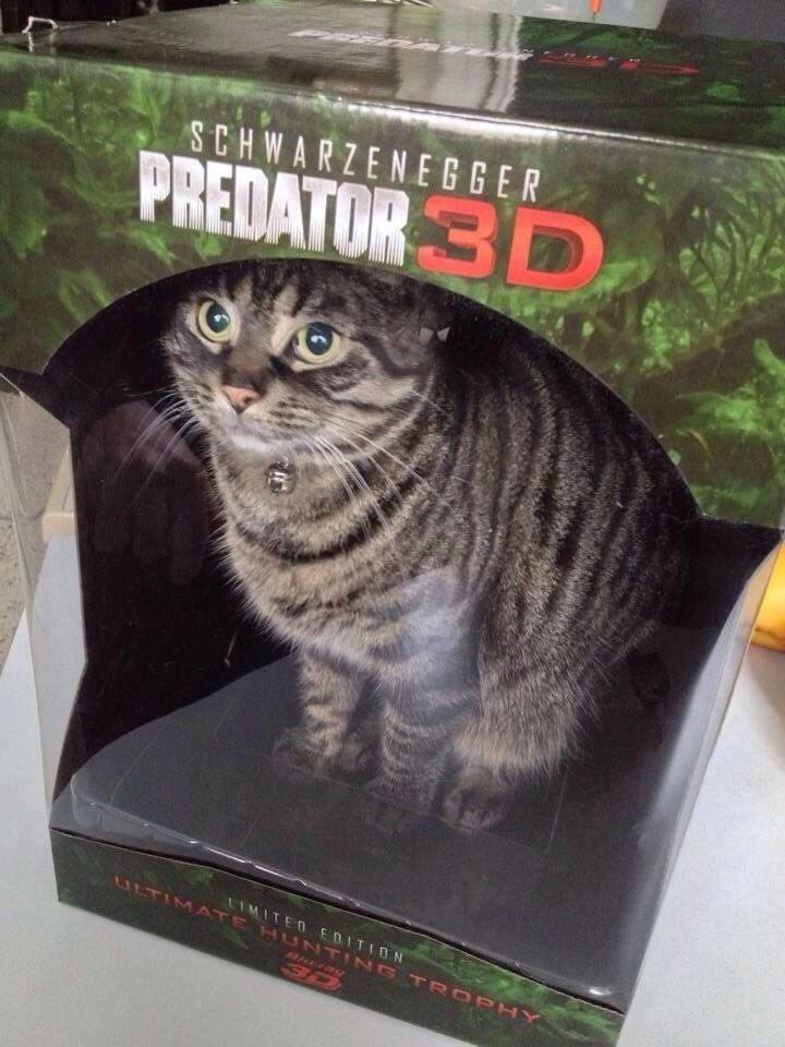 PRE