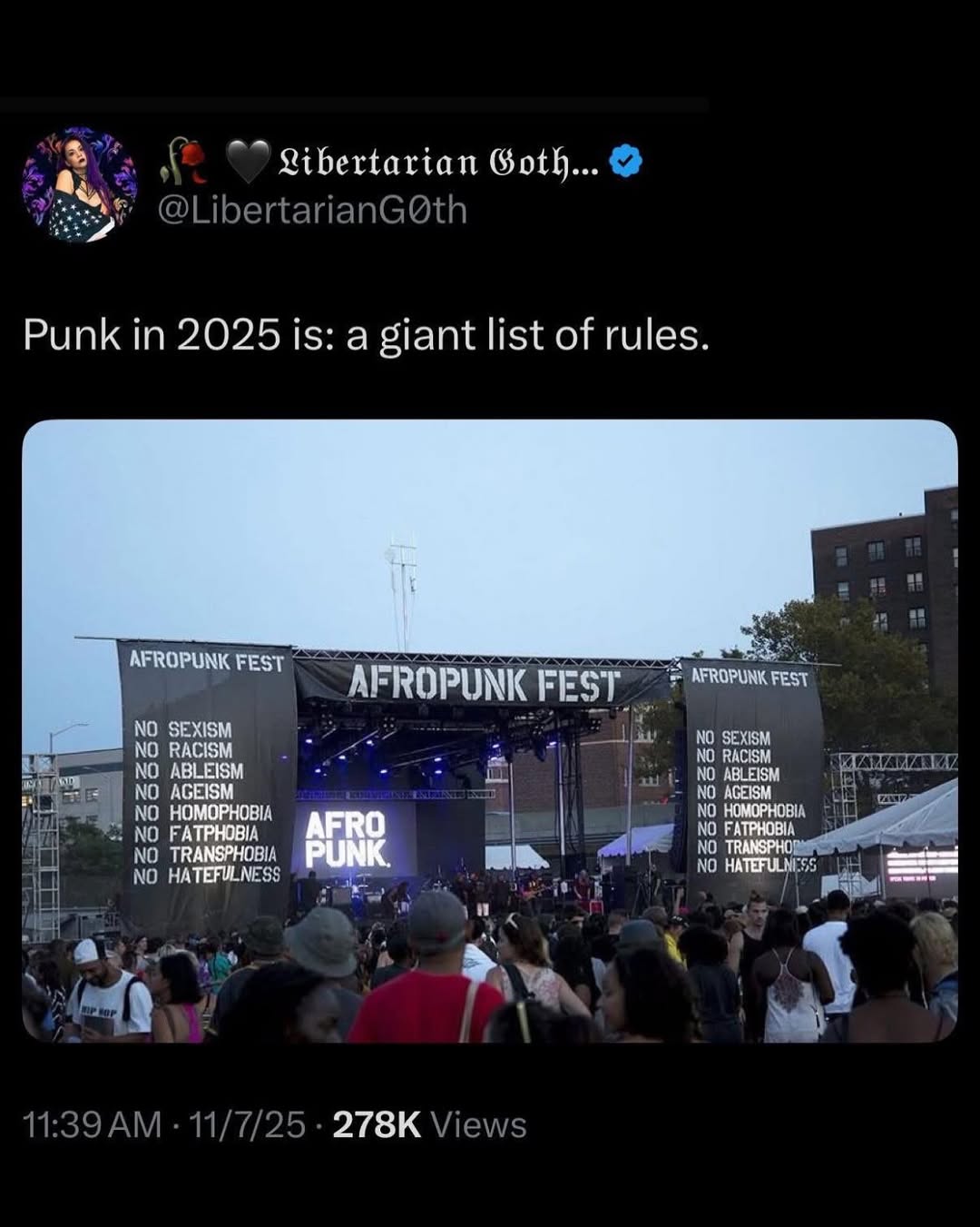 Libertarian Punk in 2025 is: a giant list of rules. AFROPUNIC FEST FEST NO NO RAC АбЕЗМ AGEISM HOMOPHOBIA NO НОМОРНОВ: №0 FATPHOBIA AFRO NO ТВАКЗРНО" NO FATPHOBIA NO. 10 PUNK.