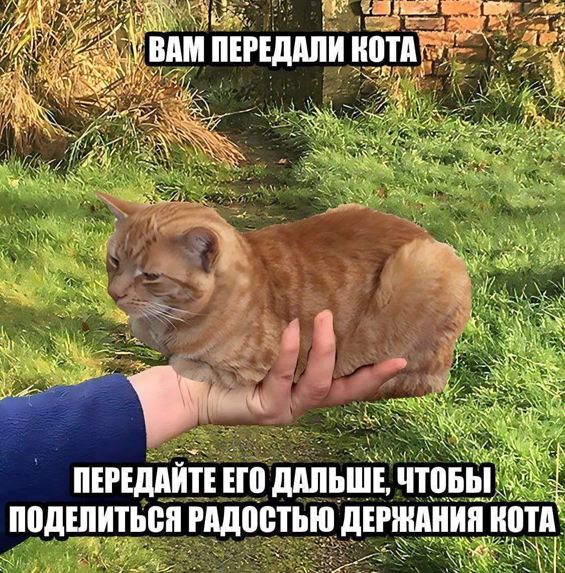 у я ВАМ ПЕРЕДАЛИ a у’ AN i: i и Yer AN А 7 ПЕРЕДАЙТЕ ETO ДАЛЬШЕ, ПОДЕЛИТЬСЯ РАДОСТЬЮ ДЕРЖАНИЯ KOT we