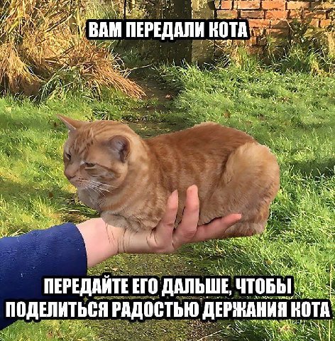 у я ВАМ ПЕРЕДАЛИ a у’ AN i: i и Yer AN А 7 ПЕРЕДАЙТЕ ETO ДАЛЬШЕ, ПОДЕЛИТЬСЯ РАДОСТЬЮ ДЕРЖАНИЯ KOT we