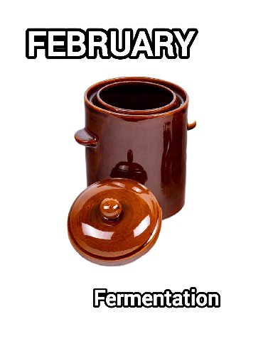 FEBRUARY