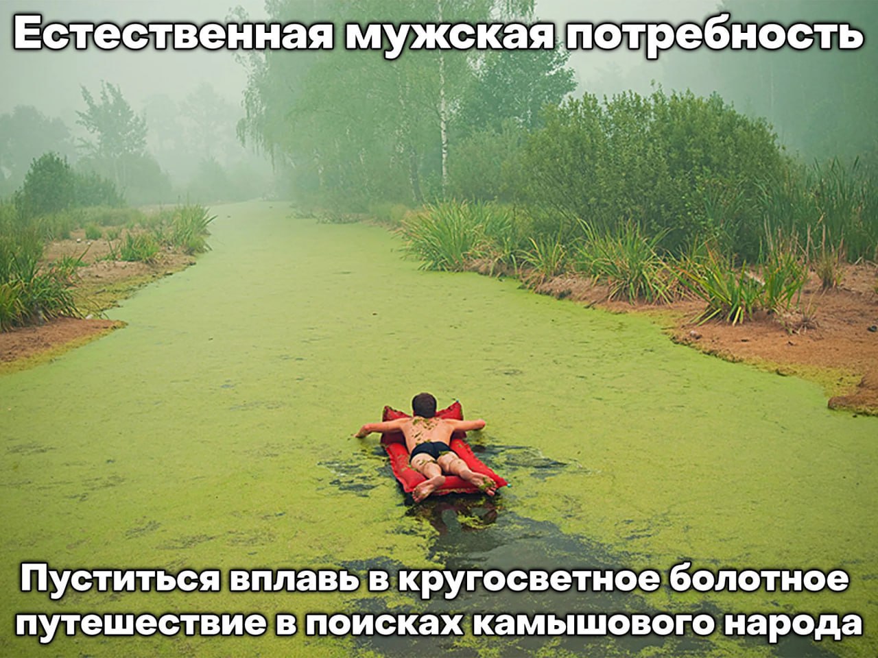 Естественная мужская потребность Пуститься вплавь в кругосветное болотное путешествие в поисках камышового народа