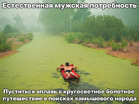 Естественная мужская потребность Пуститься вплавь в кругосветное болотное путешествие в поисках камышового народа
