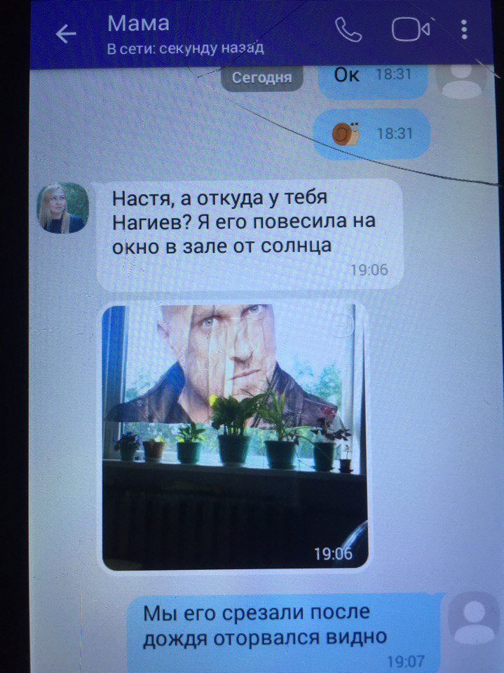 Мама В сети: секунду назад Настя, а откуда у тебя Нагиев? Я его повесила на окно в зале от солнца Мы его срезали после дождя оторвался видно 19:07